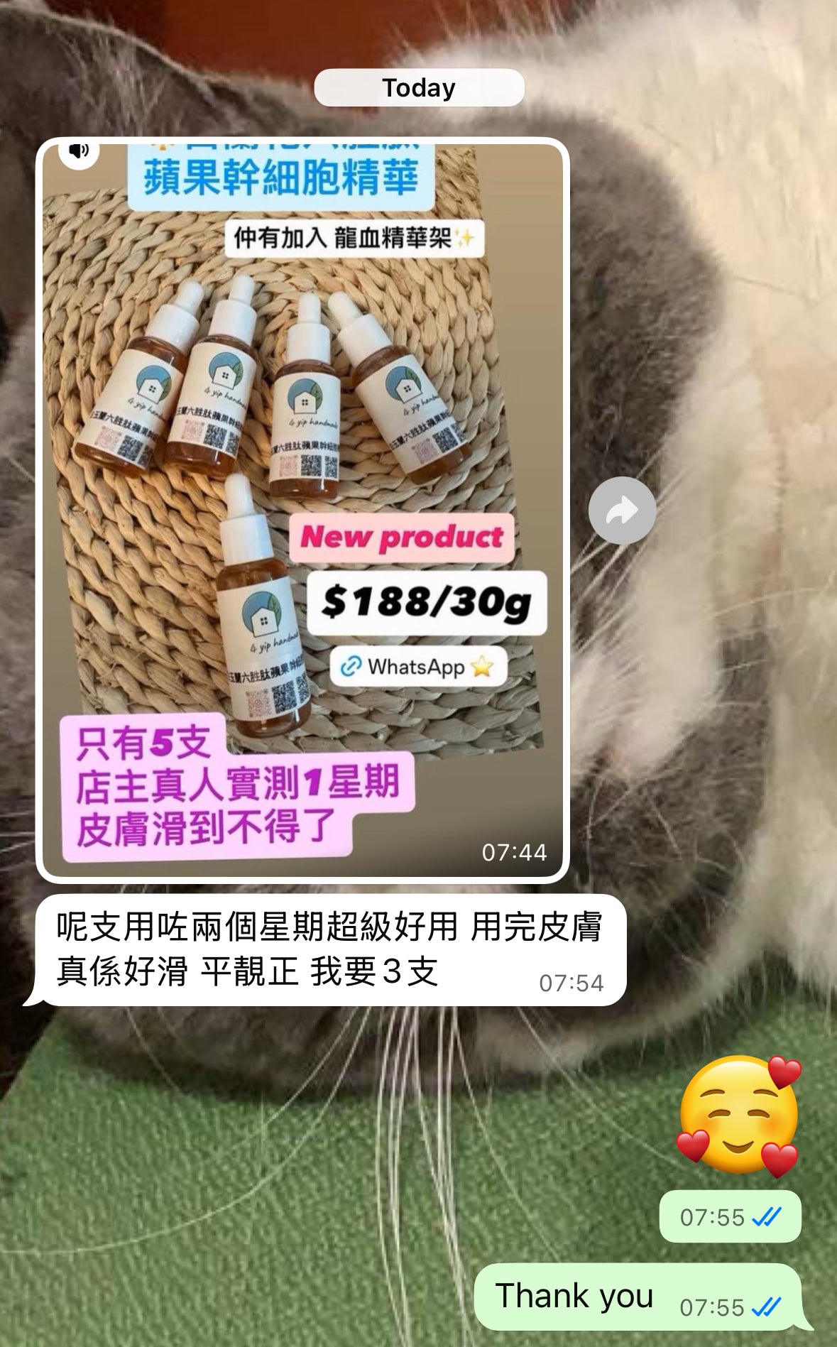 白蘭花藍銅六胜肽蘋果幹細胞精華