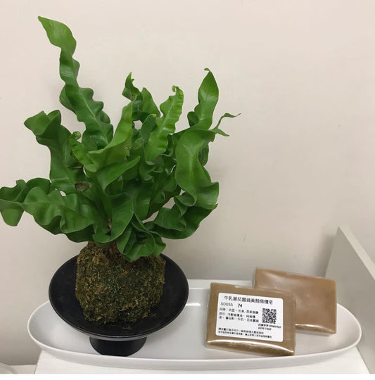 SO055 牛乳蕃茄蠶蛹美顏橄欖皂