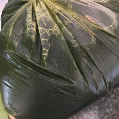 金手紫三色舒敏皂