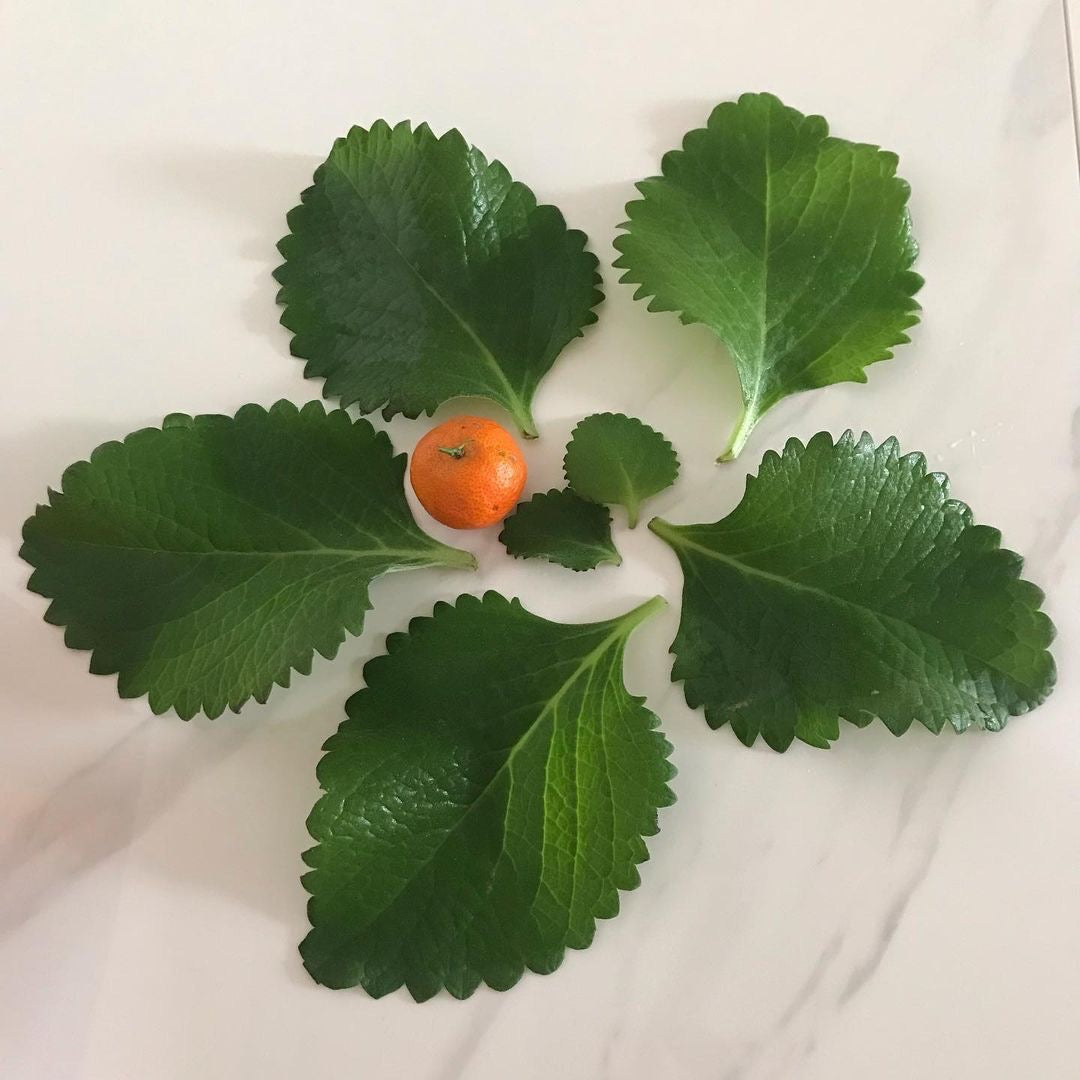 金手紫三色舒敏皂